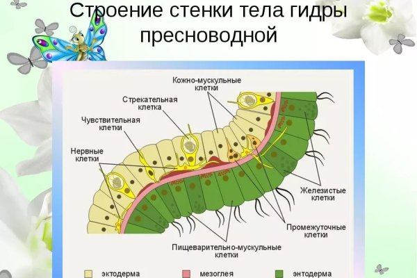 Kraken12 at сайт